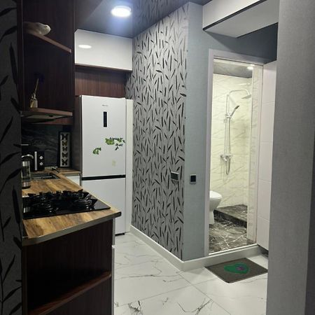New Apartments In Borjomi Exterior foto